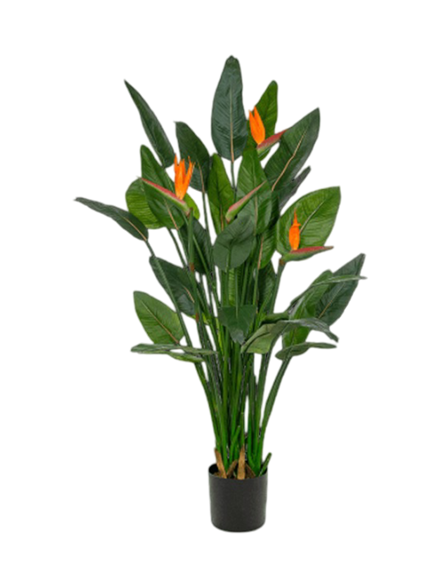 
Plante artificielle réaliste "Strelitzia en pot", hauteur 150 cm