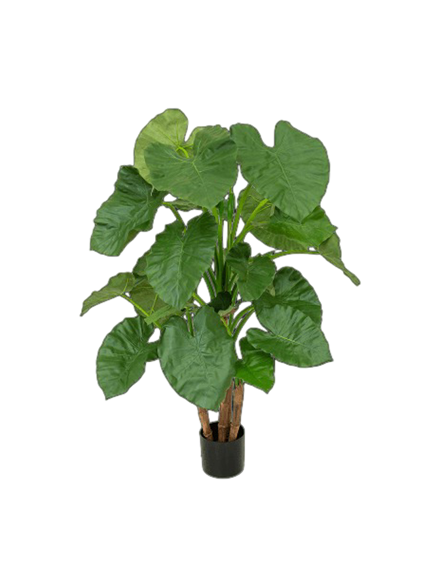 
Pianta artificiale dall'aspetto realistico «Alocasia Bush», altezza 120 cm