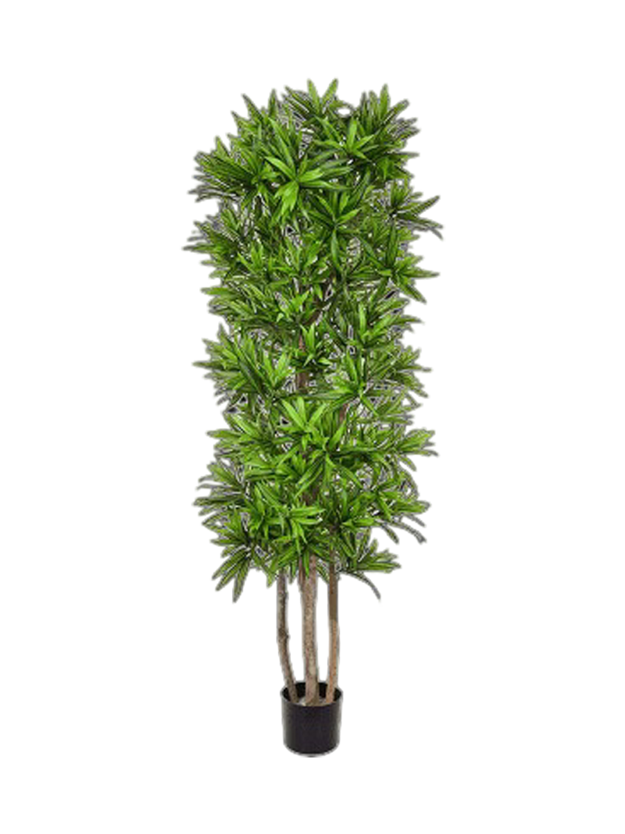 
Plante artificielle réaliste "Dracanea Song of Jamaica"