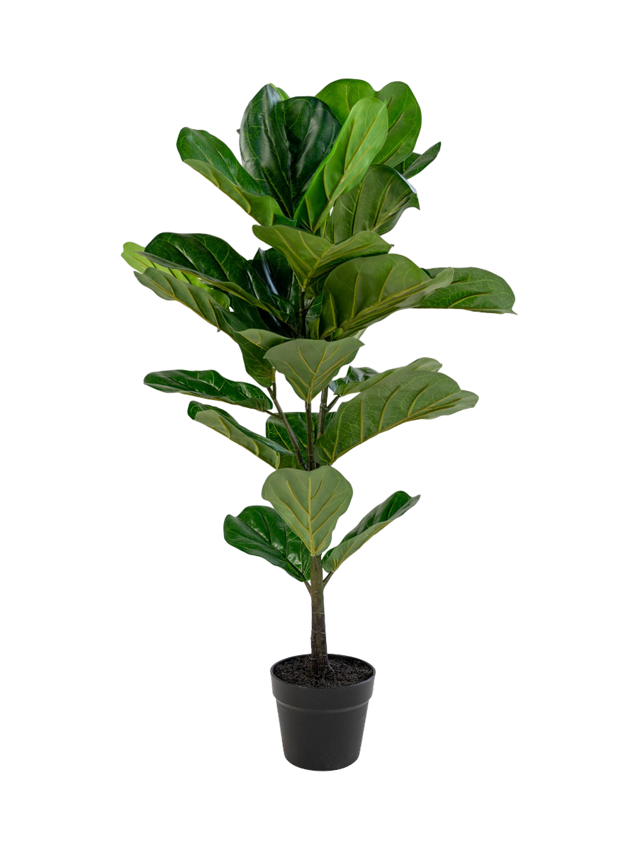 
Pianta artificiale realistica „Fiddle Leaf Tree“ - 190 cm