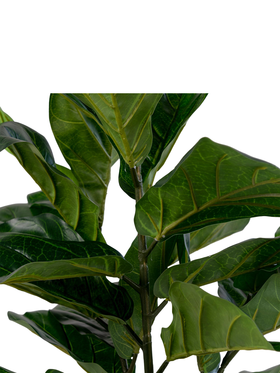 
Pianta artificiale realistica „Fiddle Leaf Tree“ - 100 cm