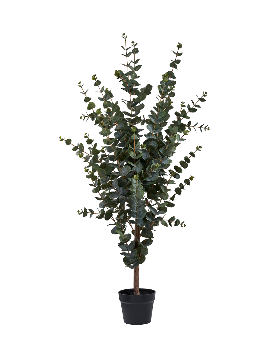 
Plante artificielle réaliste « Eucalyptus Nori »