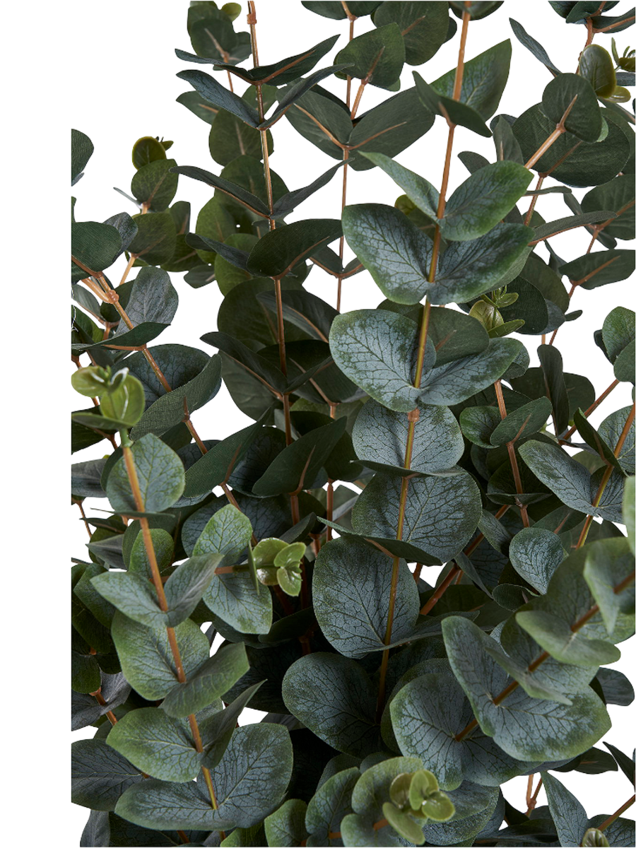 
Realistic artificial plant “Eucalyptus Nori”