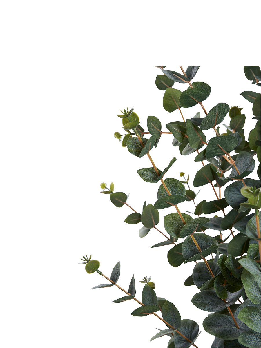 
Realistic artificial plant “Eucalyptus Nori”