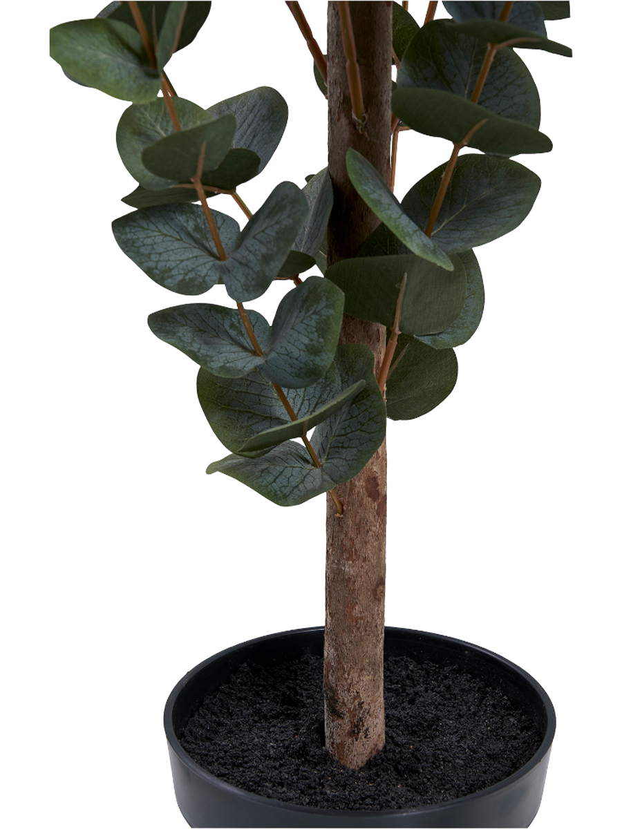 
Realistic artificial plant “Eucalyptus Nori”