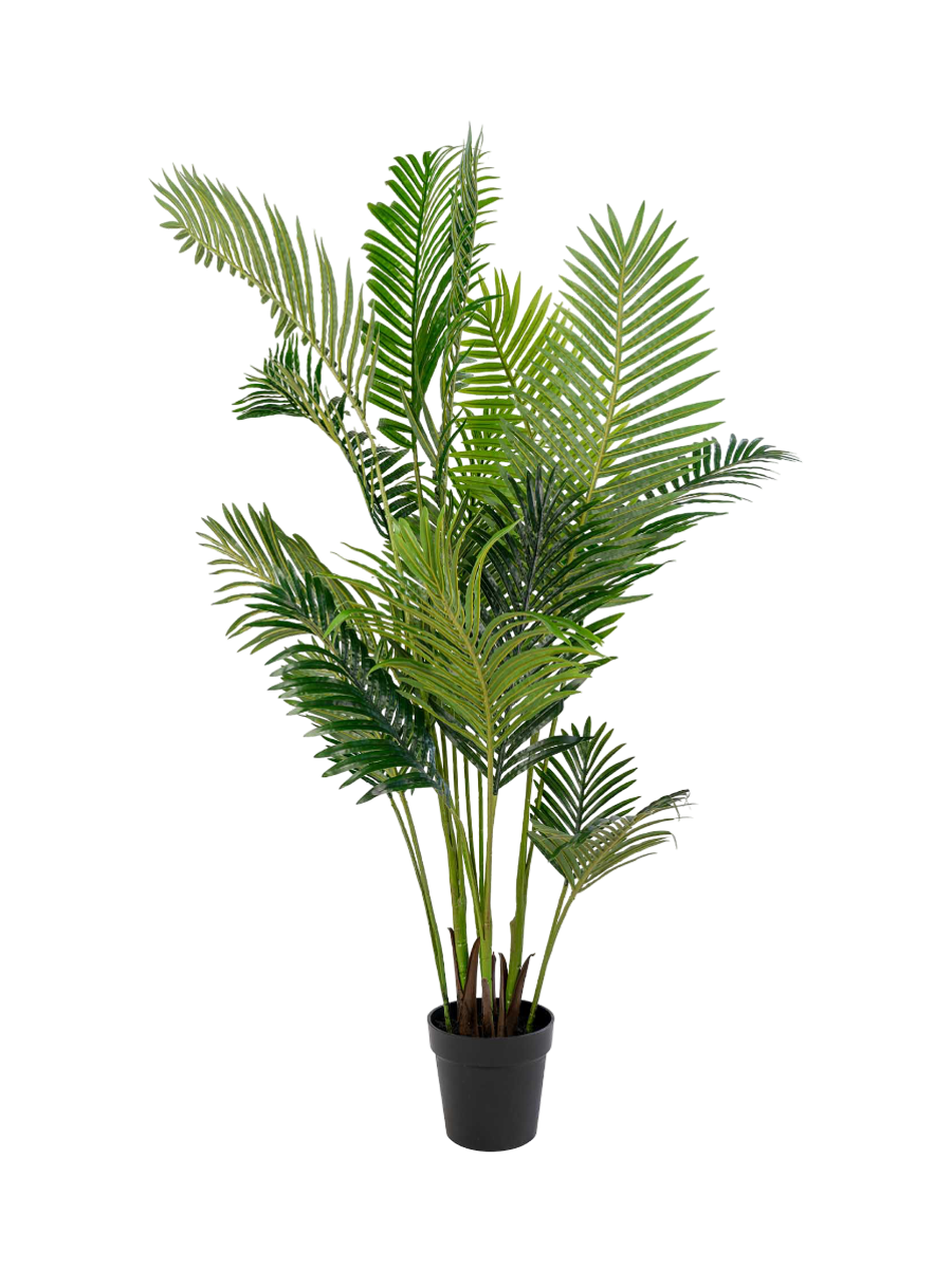 
Plante artificielle réaliste « Areca Palm »