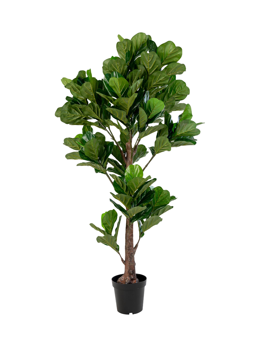 
Pianta artificiale realistica „Fiddle Leaf Tree“ - 190 cm