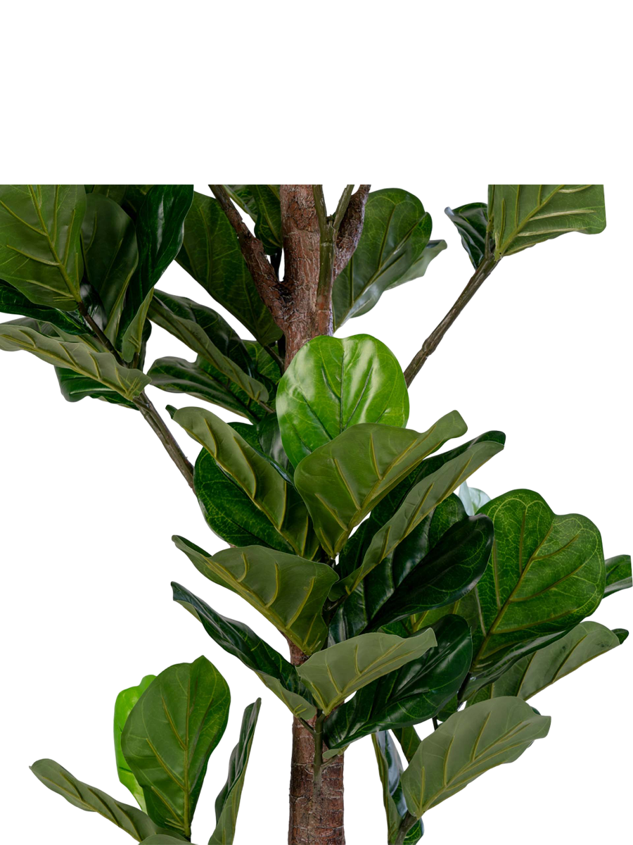 
Pianta artificiale realistica „Fiddle Leaf Tree“ - 190 cm