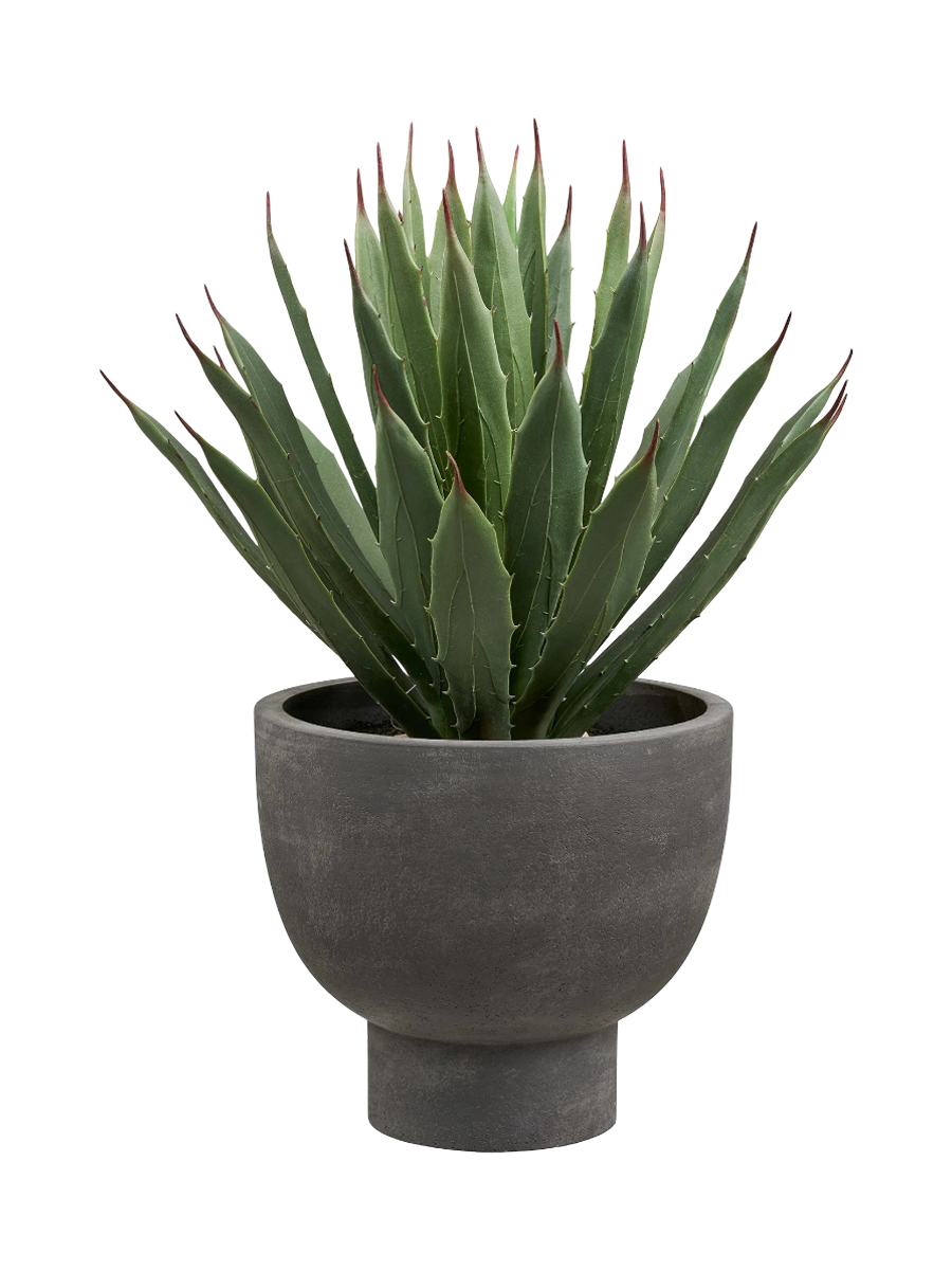 
Plante artificielle réaliste « Agave Nori », pot de fleurs inclus