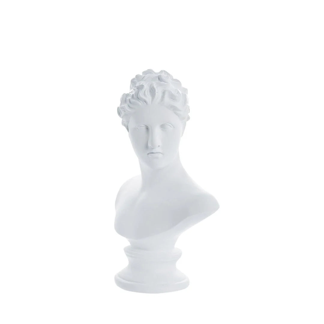 IMAGE for product variant SKU A00024507