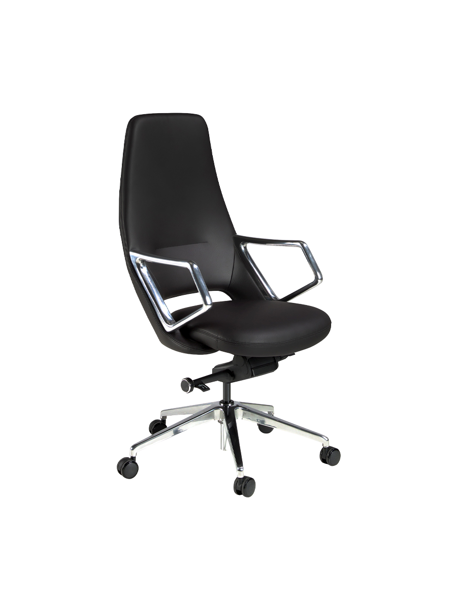 
Chaise de bureau haut de gamme « Oliver X » - Noir