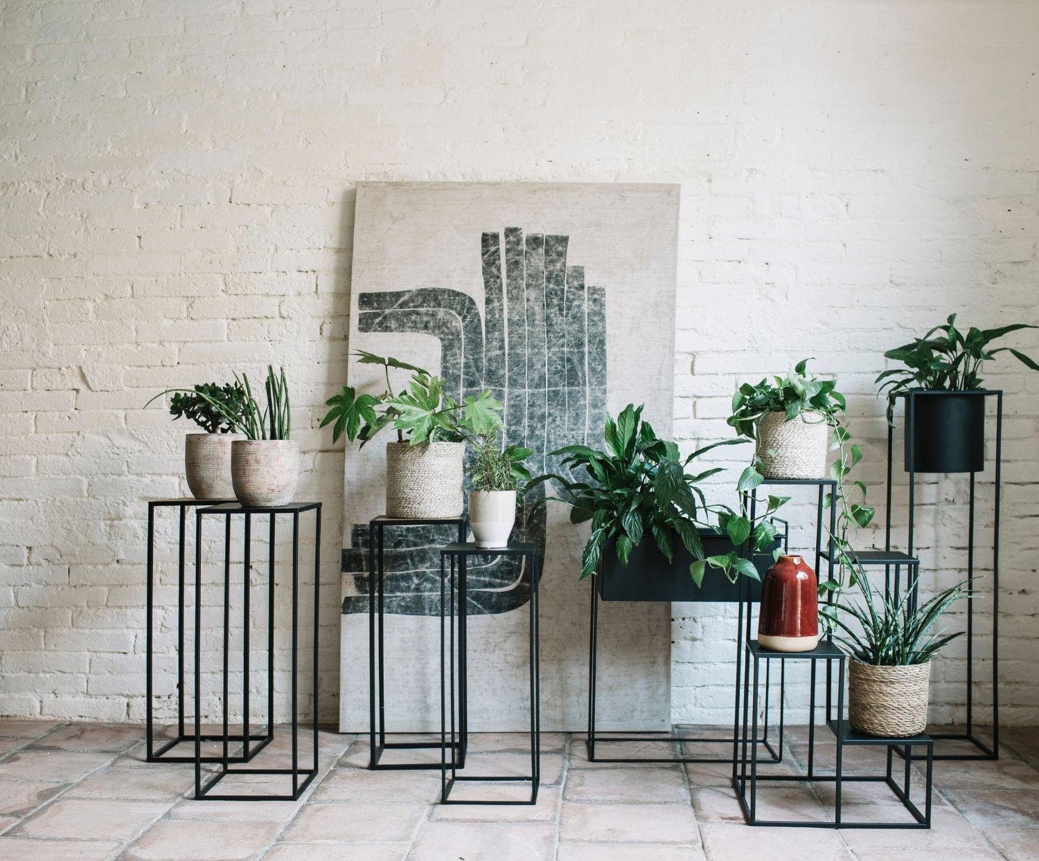 
"Lucy" Design Planter