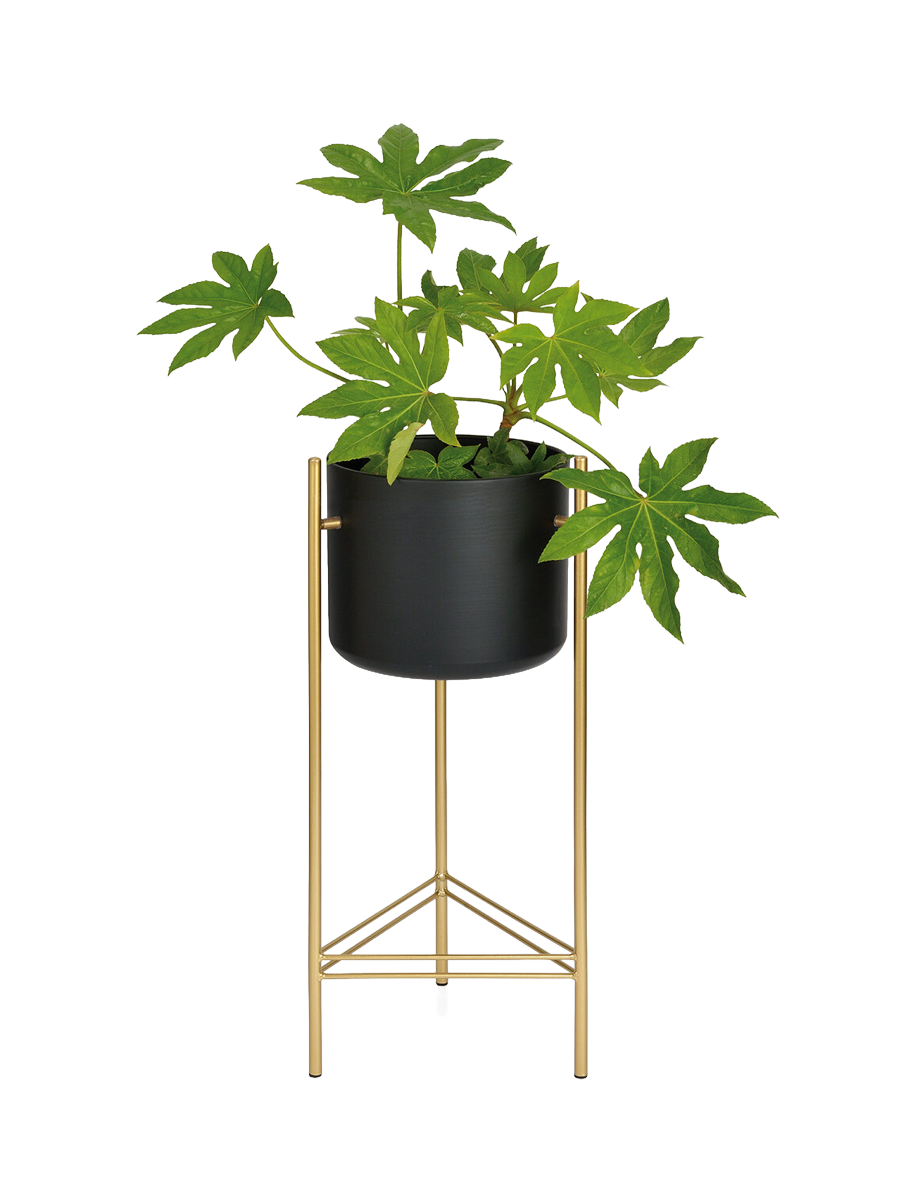 
Designer Plant Pot "Glory"