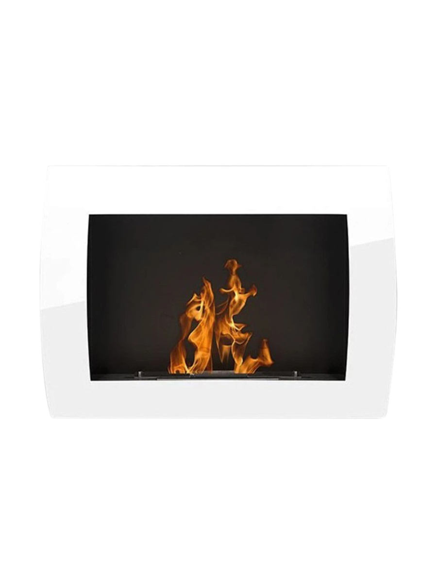 IMAGE for product variant SKU BIO-10-029