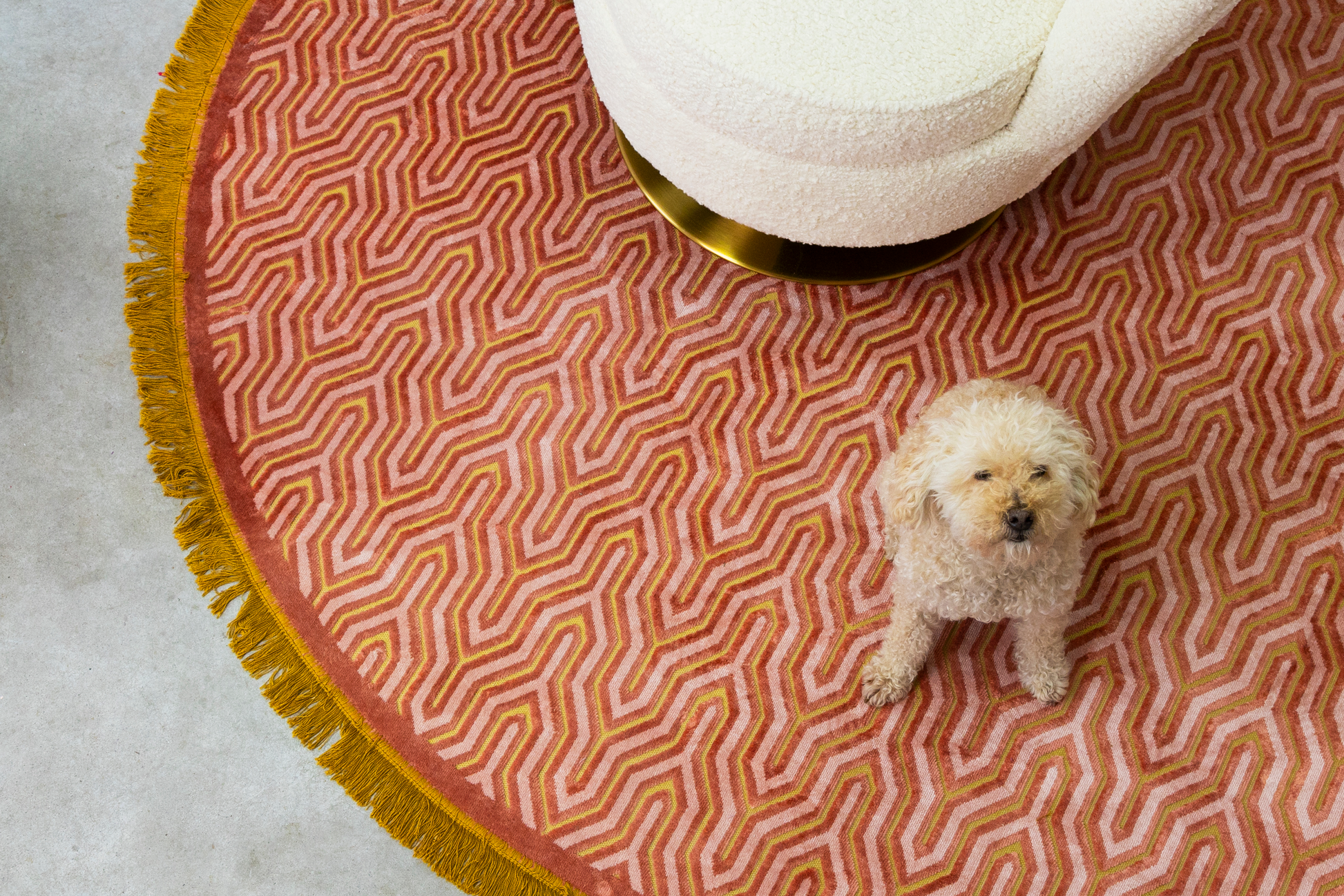 IMAGE for product variant SKU BM60022