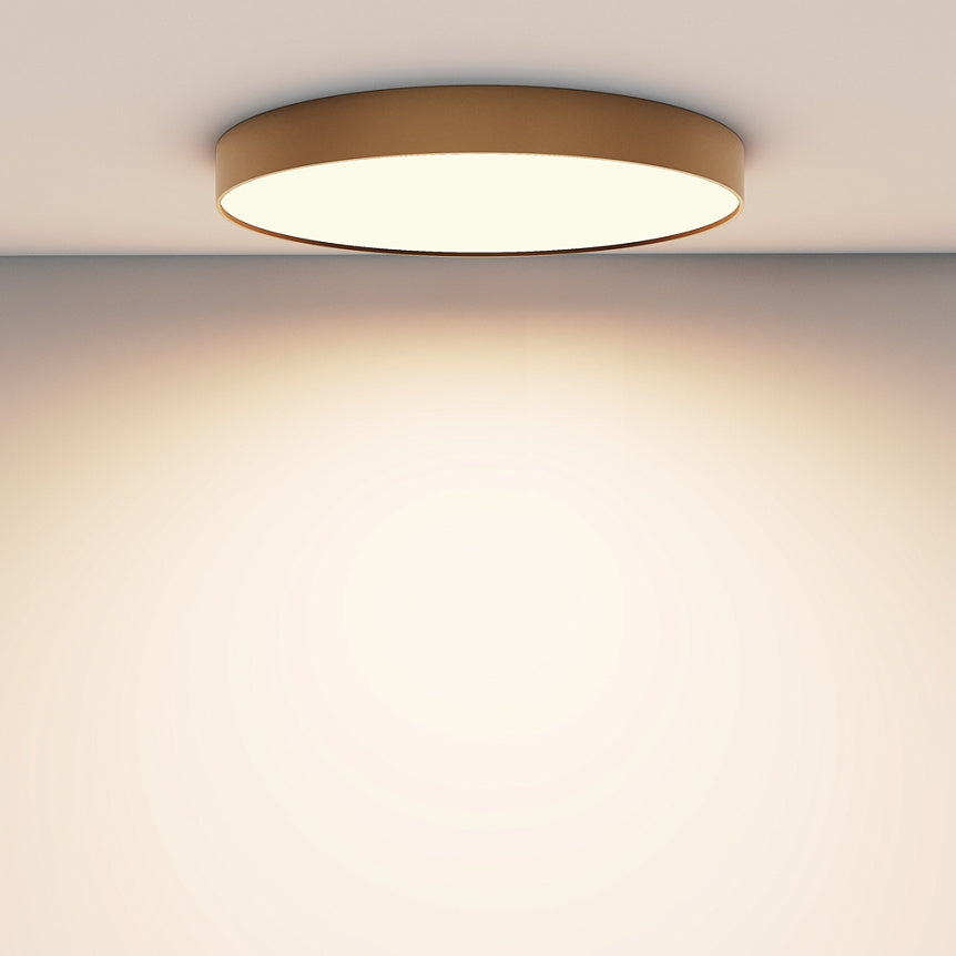 
"Zon" LED Ceiling Light - Brass / 60cm diameter
