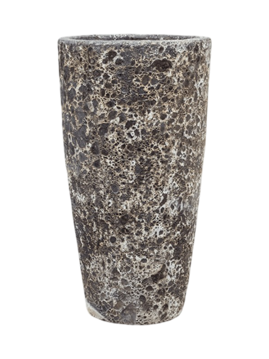 IMAGE for product variant SKU CC0007578