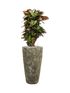 IMAGE for product variant SKU CC0007698
