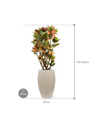 IMAGE for product variant SKU CC0010727