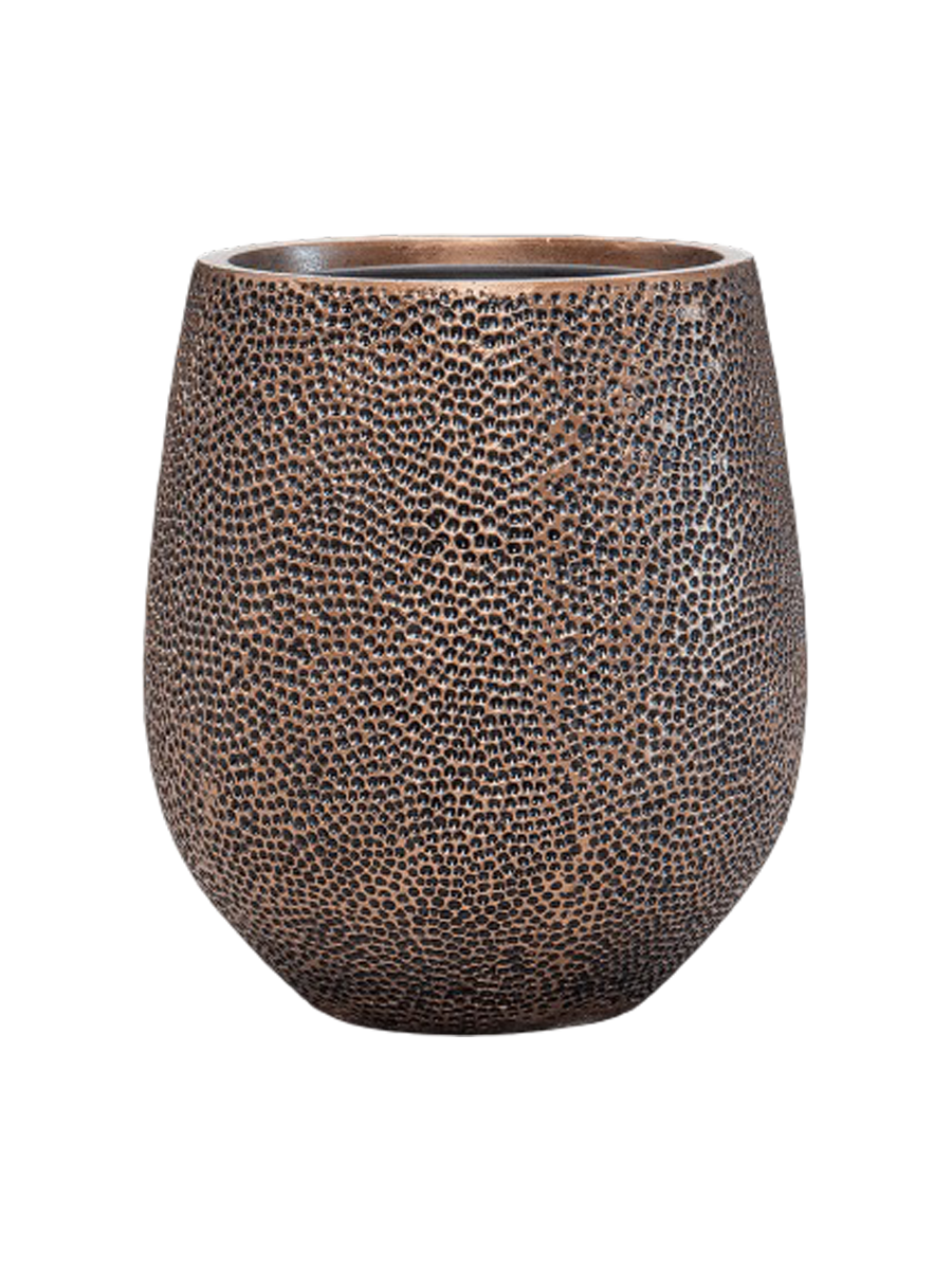 IMAGE for product variant SKU CC0022238