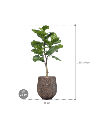 IMAGE for product variant SKU CC0022238