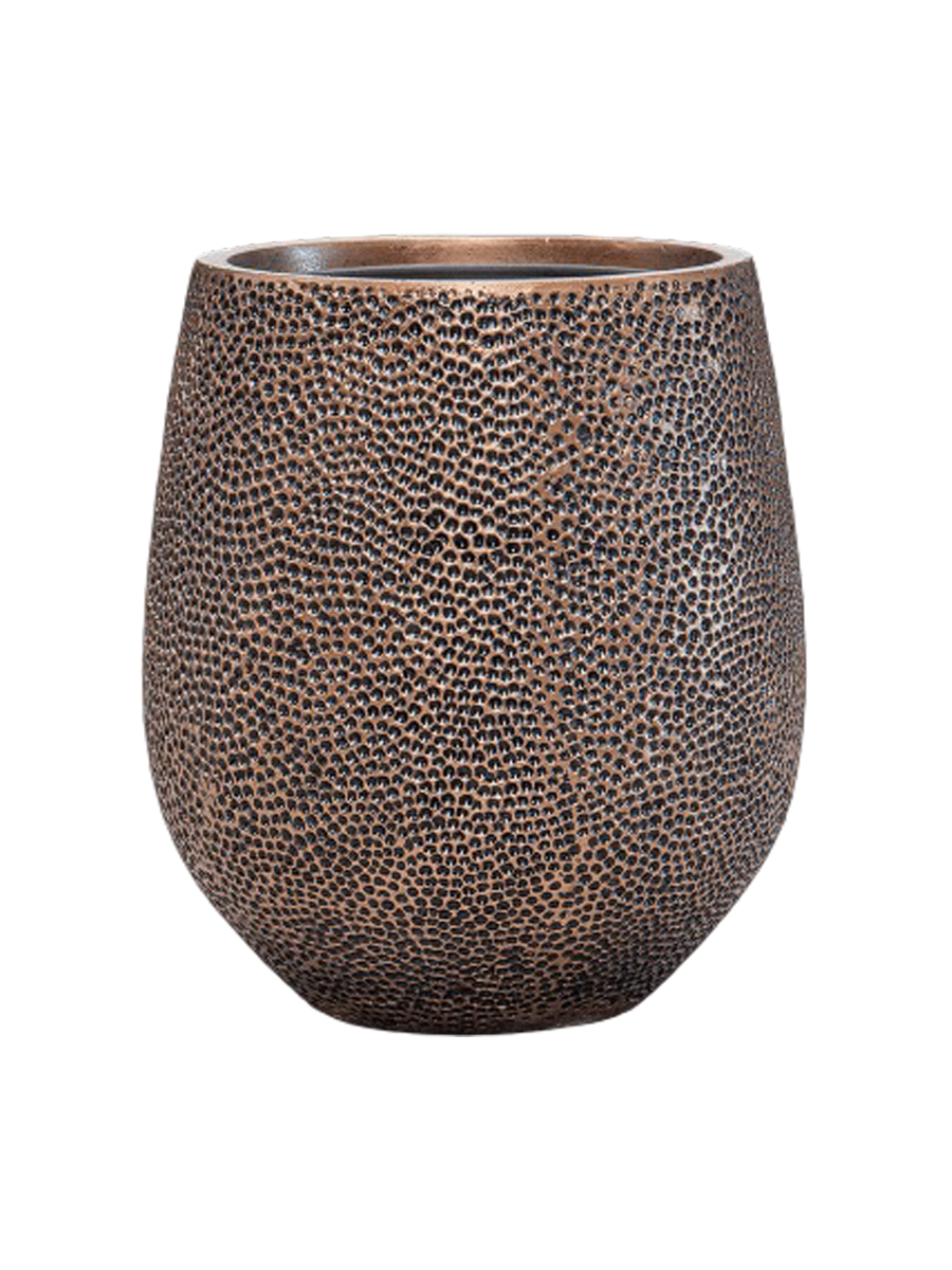 IMAGE for product variant SKU CC0022250