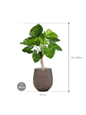 IMAGE for product variant SKU CC0022250