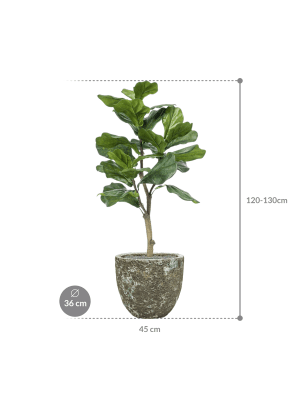 IMAGE for product variant SKU CC0023853