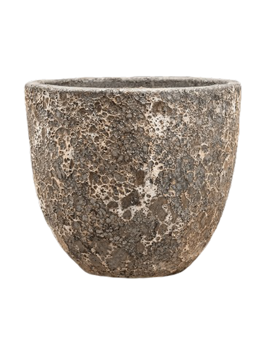 IMAGE for product variant SKU CC0023856