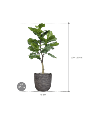 IMAGE for product variant SKU CC0023862