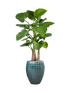 IMAGE for product variant SKU CC0023982