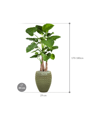 IMAGE for product variant SKU CC0023985