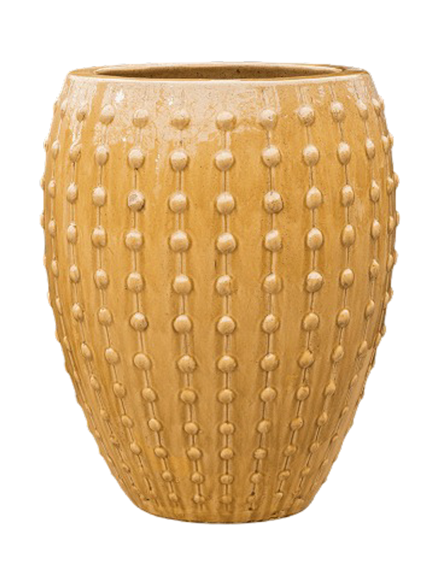IMAGE for product variant SKU CC0023988