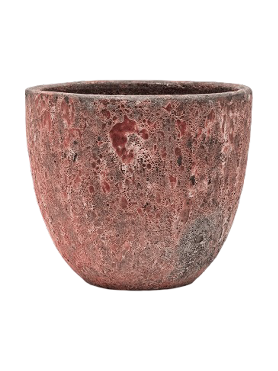 IMAGE for product variant SKU CC0023997