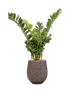 IMAGE for product variant SKU CC0024950