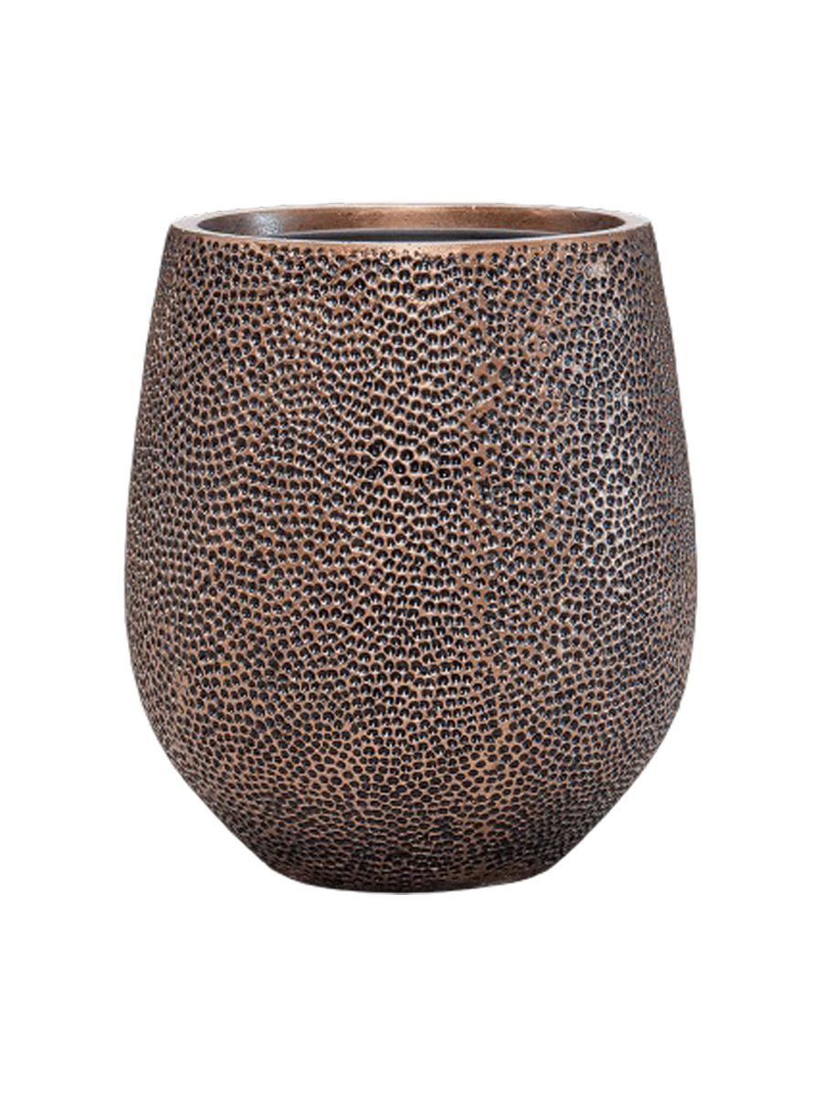 IMAGE for product variant SKU CC0024950
