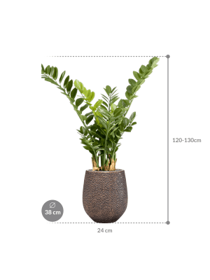 IMAGE for product variant SKU CC0024950