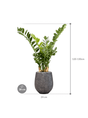 IMAGE for product variant SKU CC0024953