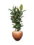 IMAGE for product variant SKU CC0026080