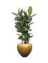 IMAGE for product variant SKU CC0026126