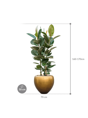 IMAGE for product variant SKU CC0026126