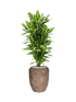 IMAGE for product variant SKU CC0026409