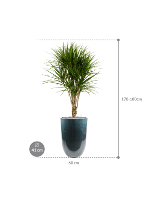 IMAGE for product variant SKU CC0029872