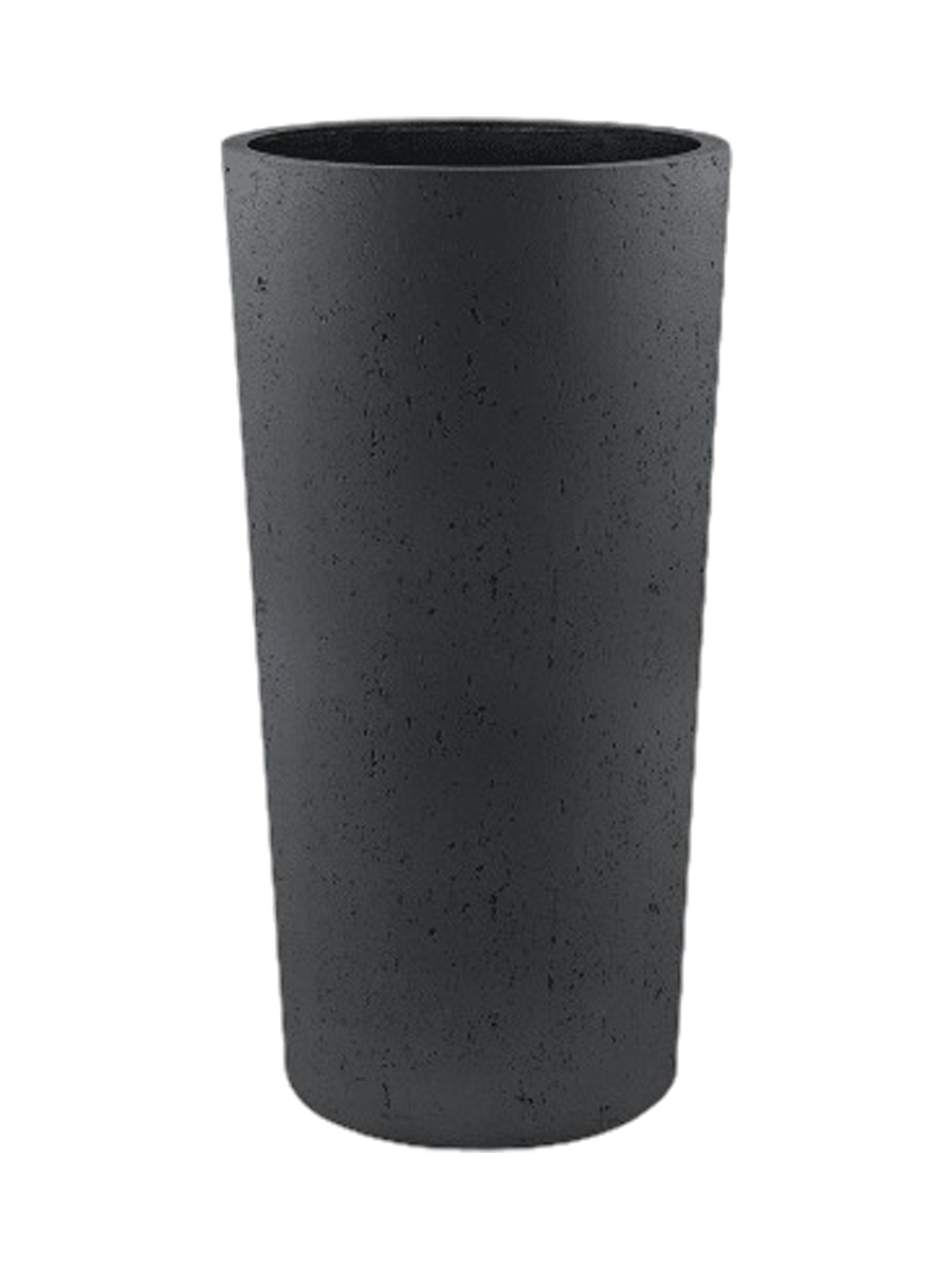 IMAGE for product variant SKU CC0029899