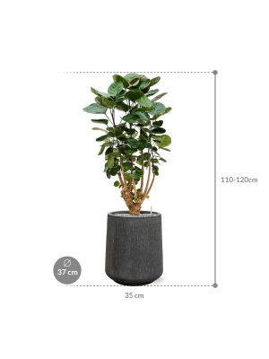 IMAGE for product variant SKU CC0030340
