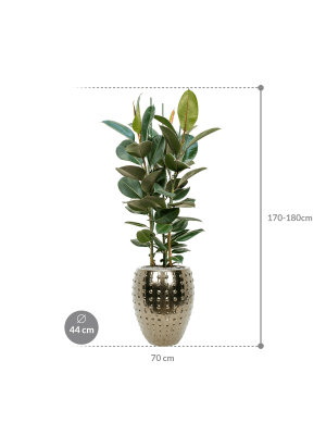 IMAGE for product variant SKU CC0031327