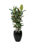 IMAGE for product variant SKU CC0031330