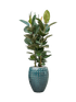 IMAGE for product variant SKU CC0031336