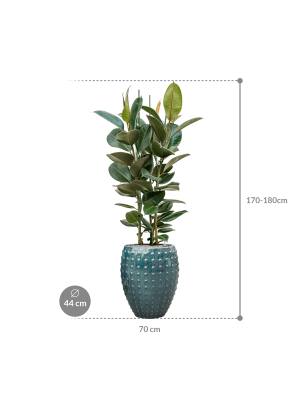 IMAGE for product variant SKU CC0031336