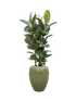IMAGE for product variant SKU CC0031339